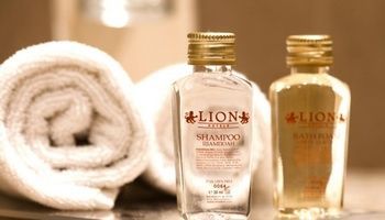 Фото отеля Hotel Lion Borovetz №0